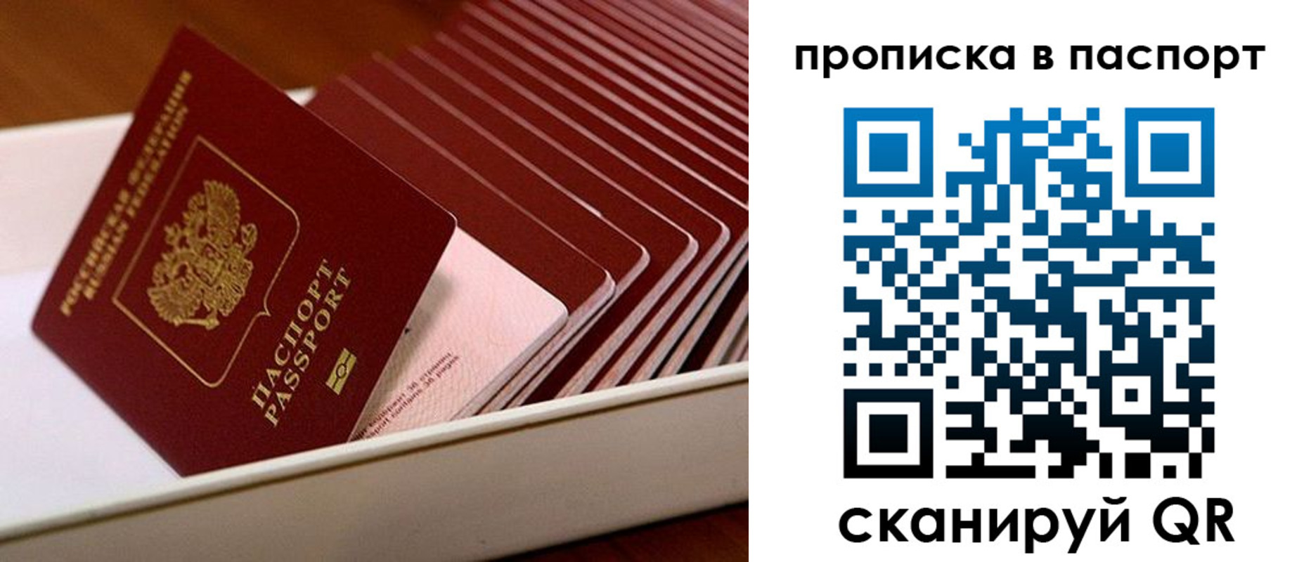 прописка паспорт в Йошкар-Оле
